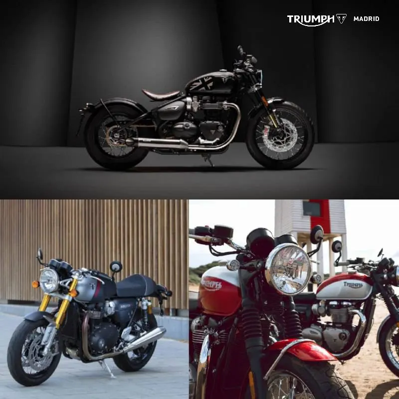 EICMA 2019