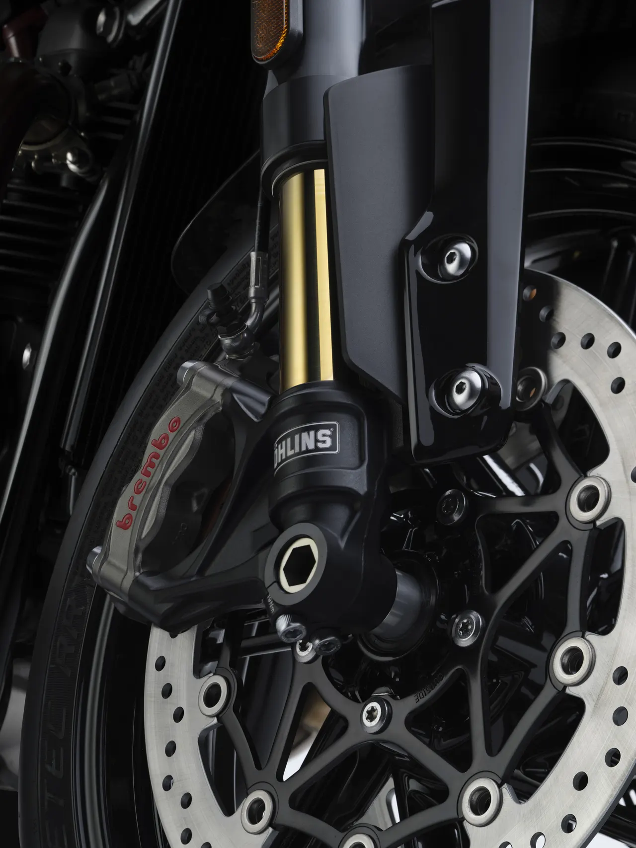Horquilla Öhlins y pinza Brembo Stylema de la Speed Twin 1200 TFC