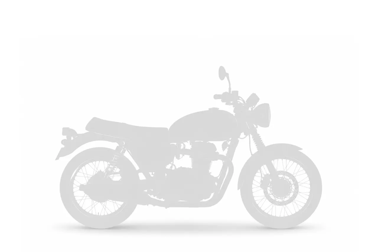 Triumph BONNEVILLE T100