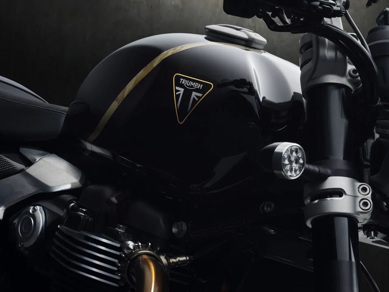 Depósito Obsidian Gold y motor de la Speed Twin 1200 TFC