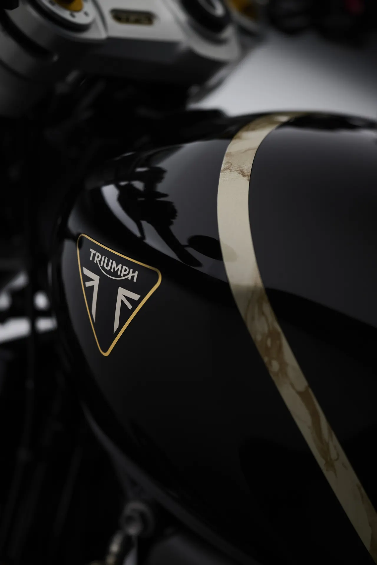 Franja dorada amarmolada del depósito de la Speed Twin 1200 TFC