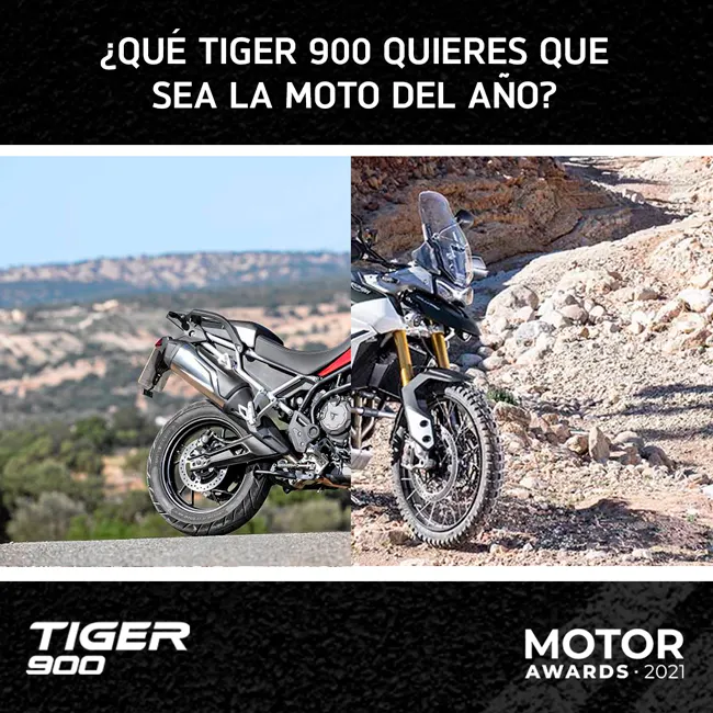 ¿Cuál es para ti la moto del año?