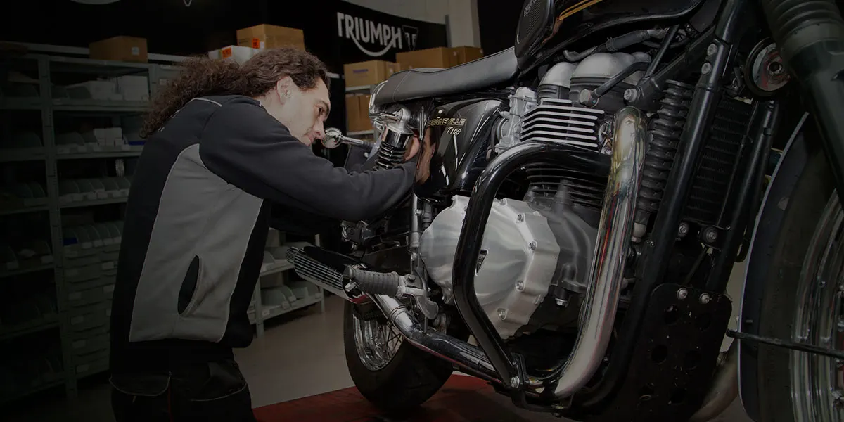 ¿Quieres personalizar tu Triumph?